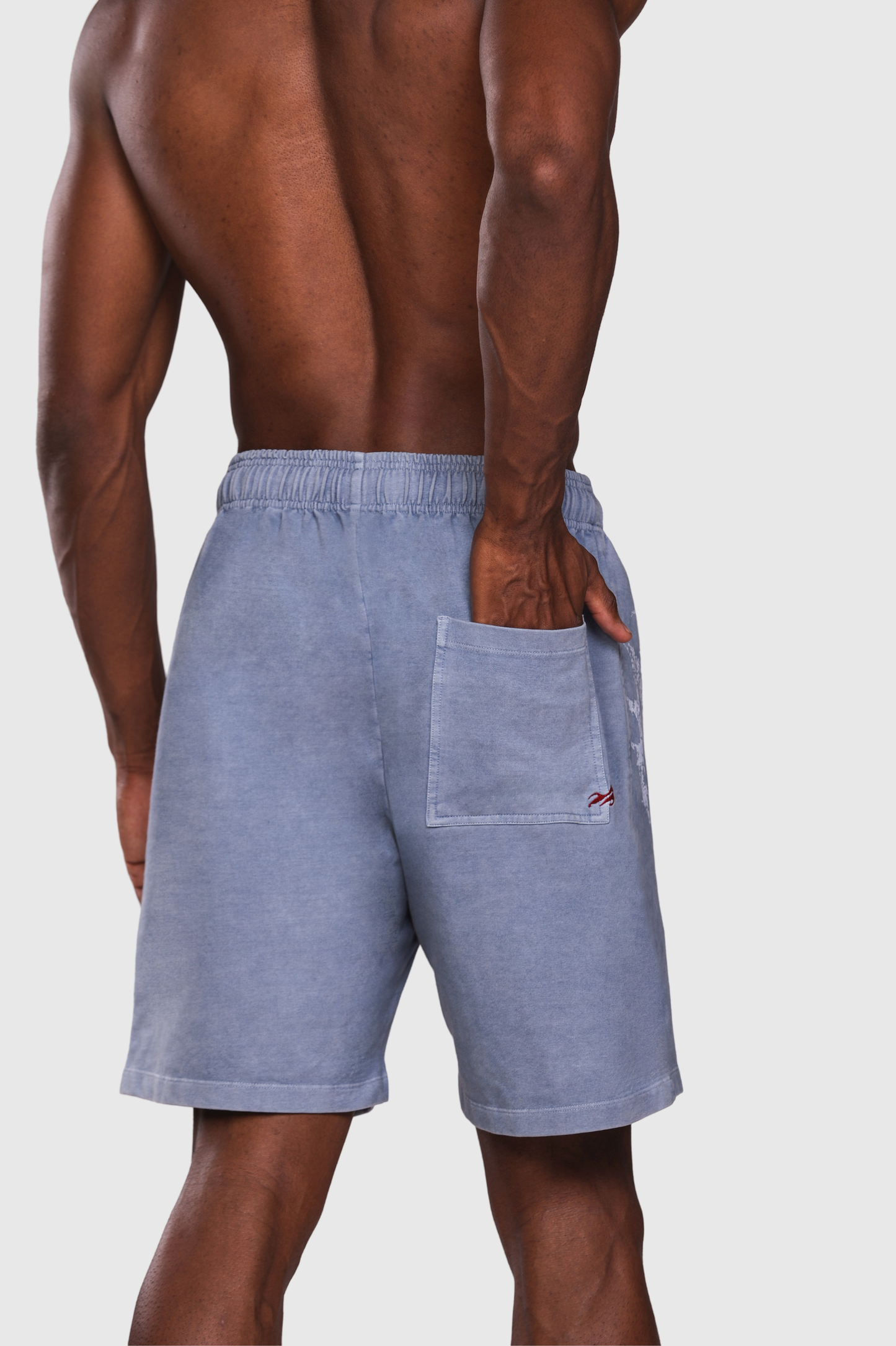 Flex Denim Shorts